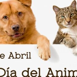 La fecha recuerda al abogado cordobés Ignacio Lucas de Albarracín, pionero en la lucha por los derechos de los animales.