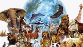 Cada 29 de abril en la Argentina se celebra esta fecha