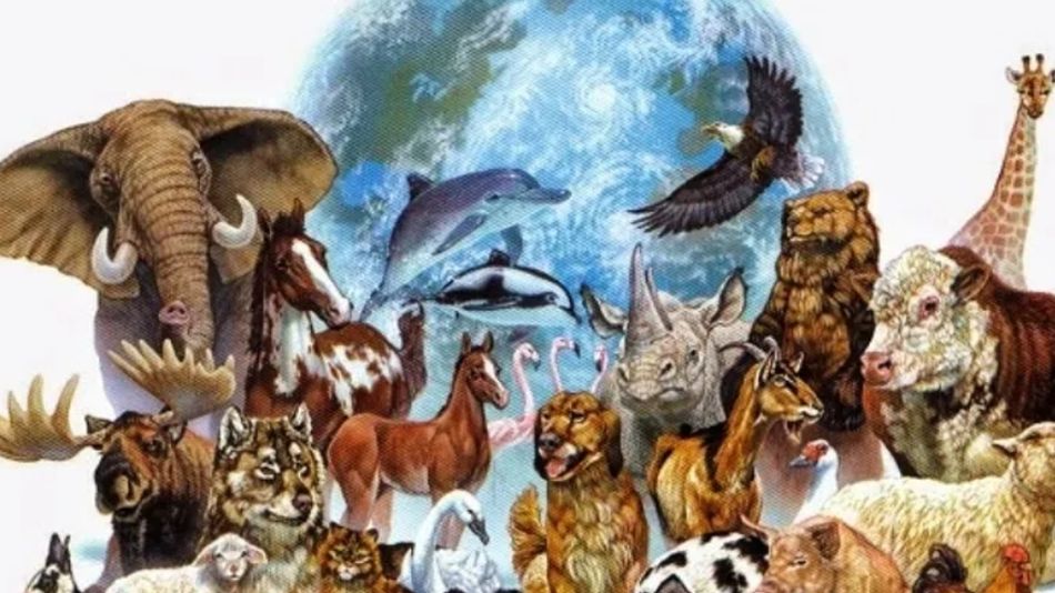 2904_día del animal
