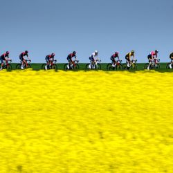 Los ciclistas pasan por delante de un campo de colza durante la tercera etapa, de Echallens a Echallens, de la carrera ciclista Tour de Romandía UCI World Tour 2022 cerca de Echallens, Suiza occidental. | Foto:FABRICE COFFRINI / AFP