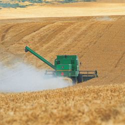Las exportaciones agroindustriales siguen creciendo en Argentina.