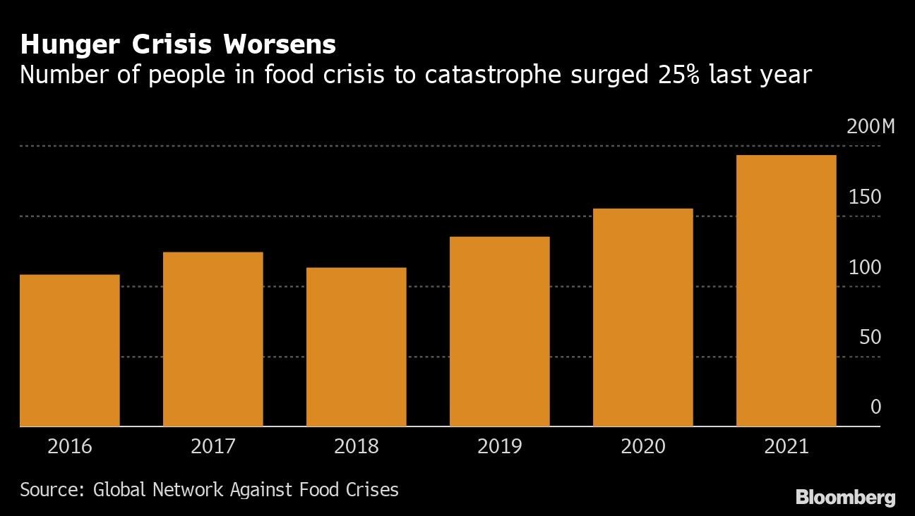 Hunger Crisis Worsens | Number of people in food crisis to catastrophe surged 25% last year