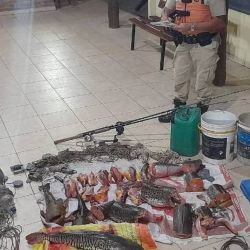 El operativo tuvo lugar en el marco de los controles preventivos contra la pesca furtiva. 