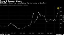 Global food index has soared since the war began in Ukraine