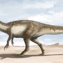 Este gigantesco dinosaurio carnívoro habría vivido hace unos 70.000.000 de años.