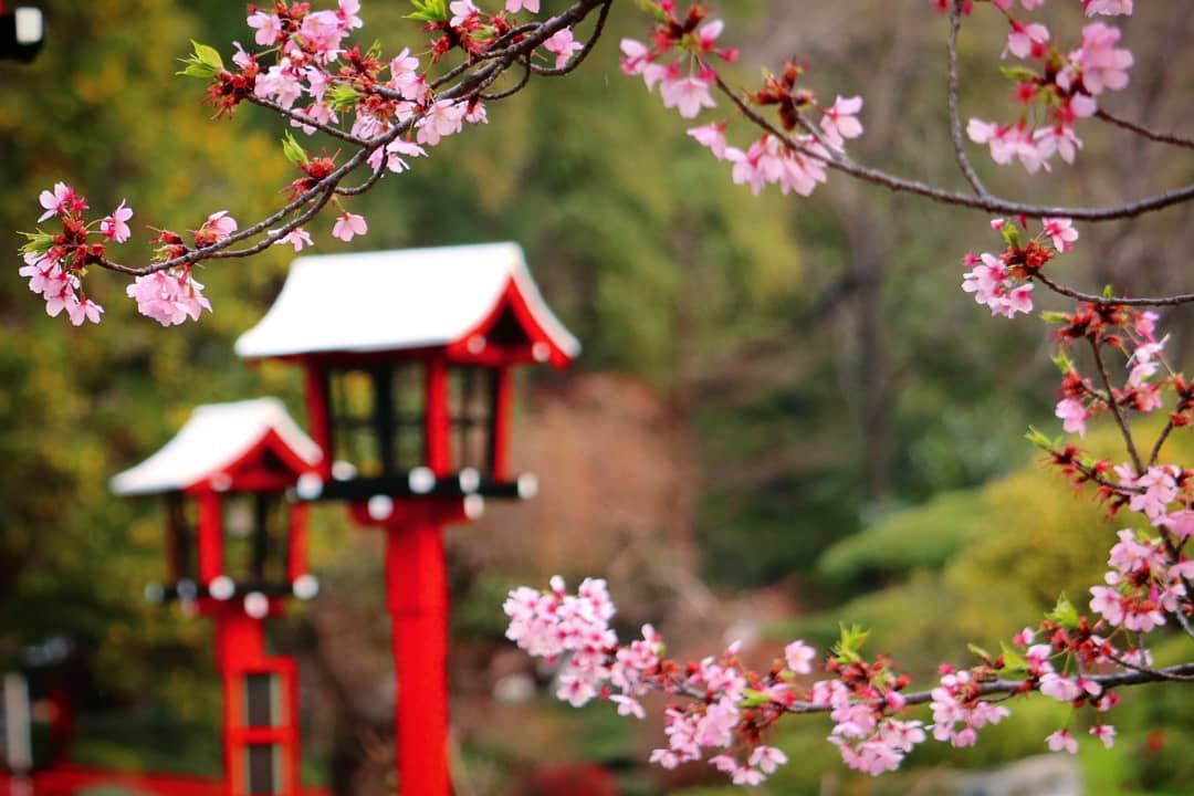 El jardín Japonés se fundó el 17 de mayo de 1967