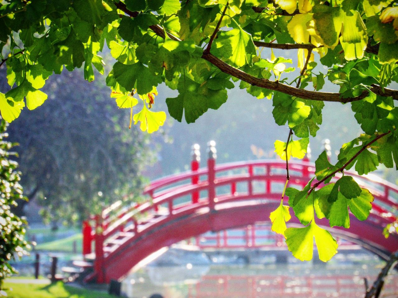 El jardín Japonés se fundó el 17 de mayo de 1967