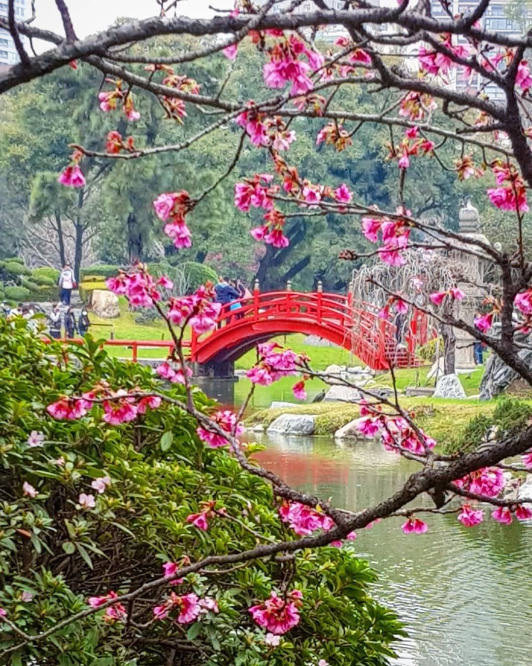 El jardín Japonés se fundó el 17 de mayo de 1967
