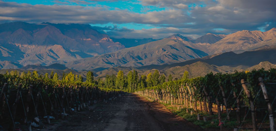 Breve historia detrás de grandes vinos 