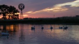 Punta Indio aporta tranquilidad y belleza para pasar un fin de semana diferente.