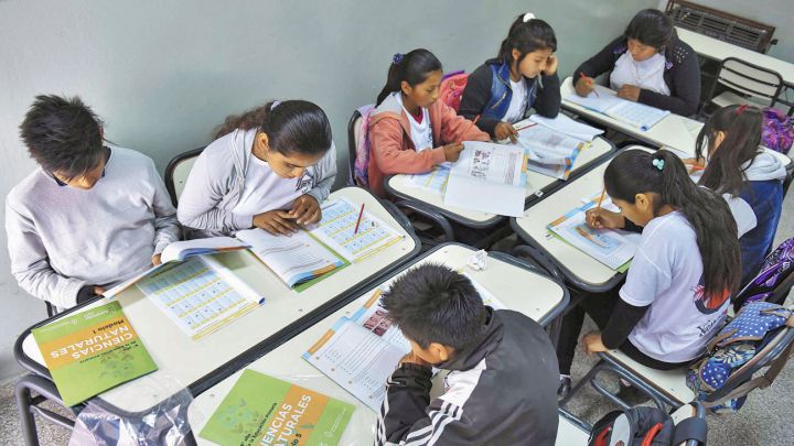 Escuela. En públicas, el 36% tiene conocimientos satisfactorios.