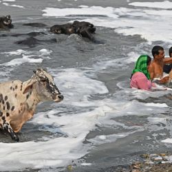 Devotos hindúes rezan en las aguas contaminadas del río Yamuna cargadas de espuma, en un caluroso día de verano en Nueva Delhi, India. | Foto:Sajjad Hussain / AFP