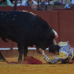 El torero peruano Andrés Roca Rey es embestido por el toro durante la Feria de Abril en la plaza de toros de La Maestranza de Sevilla. | Foto:CRISTINA QUICLER / AFP