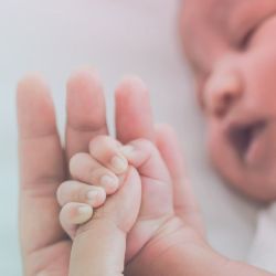 Maternidad: así las células madre previenen más de 80 enfermedades