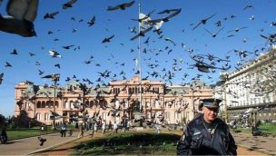Aves en Plaza de Mayo