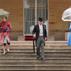 La princesa Ana de Gran Bretaña, la princesa real, el príncipe Carlos de Gran Bretaña, el príncipe de Gales y Camilla, la duquesa de Cornualles, llegan para asistir a una fiesta real en el jardín del Palacio de Buckingham en Londres. | Foto:Jonathan Brady / POOL / AFP