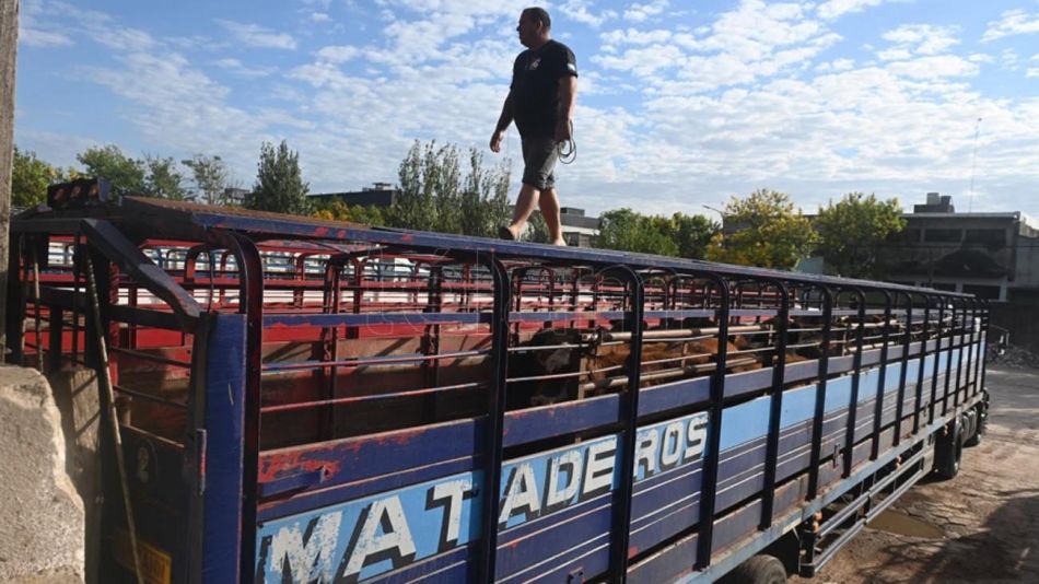 El Mercado de Hacienda porteño se muda a Cañuelas 20220511