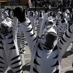 Personas disfrazadas como cebras participan en el acto de reactivación del programa "Cebras Paceñas", que busca inculcar a los pobladores el uso correcto de los pasos peatonales, así como el respeto a las normas de tránsito y convivencia, en La Paz, Bolivia. | Foto:Xinhua/Mateo Romay