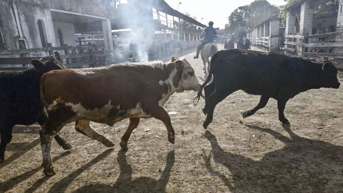 El Mercado de Hacienda de Liniers dejó de operar Perfil