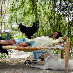 Un hombre descansa debajo de un árbol durante un caluroso día de verano en Nueva Delhi. Money Sharma / AFP | Foto:AFP