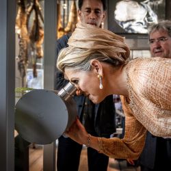 Máxima Zorreguieta triunfa con un look monocromático de impacto