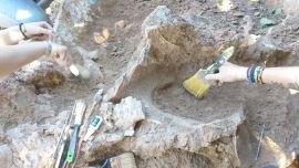 Fueron descubiertos, de manera accidental, por trabajadores de una empresa privada.