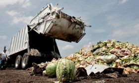 Alimentos desechados