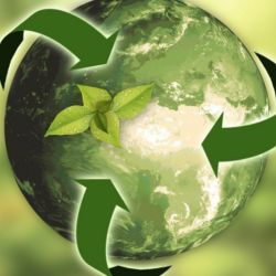 El reciclaje no solo tiene una gran importancia desde el punto de vista ambiental, sino también desde el punto de vista económico