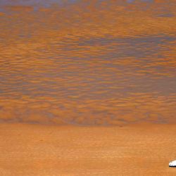  La gente camina en la playa de  | Foto:AFP