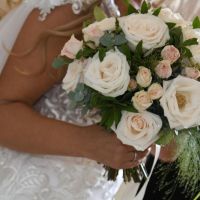 Alma de Kolibri Eventos