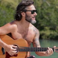 Los motivos por los cuales Diego Torres tuvo que cancelar sus shows