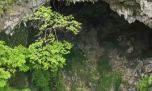Sorprendente: descubren un bosque en el interior de un gigantesco pozo en China