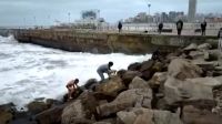 Un hombre se tiró al mar para rescatar a un perro