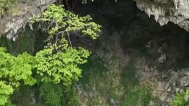 Fue encontrado en las cercanías de la aldea de Ping'e, en el condado de Leye, China.