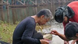 Las dos nuevas especies están en la lista roja de las especies en peligro de extinción.