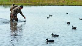 05_20PatoCazaBuenosAires