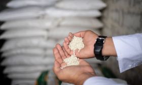 grains turen venezuela