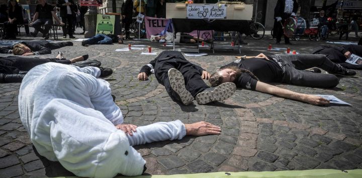 Activistas participan en un "die-in" organizado por el movimiento ecologista global Extinction Rebellion para manifestarse contra la extinción global de especies, en el centro de la ciudad de Bonn, al oeste de Alemania.