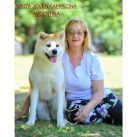 Especial raza AKITA INU 