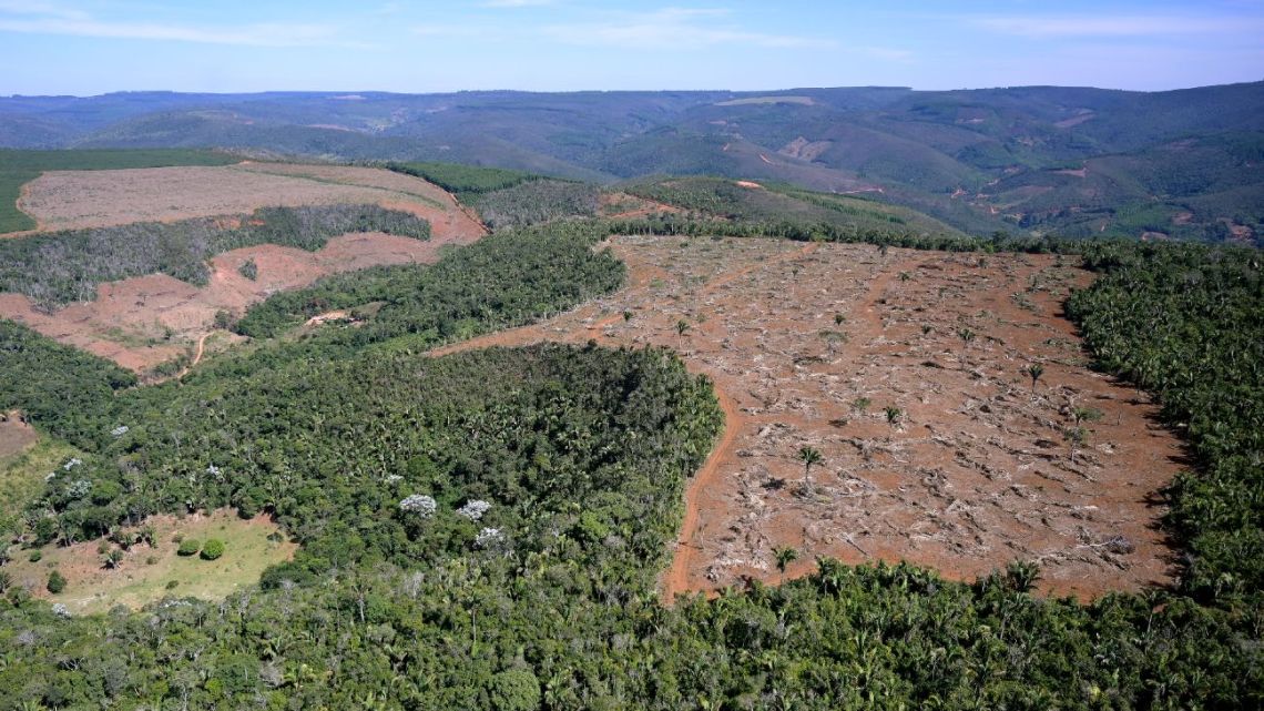 This handout picture released by the SOS Mata Atlântica shows an aerial view where native vegetation has been cut down to give space for eucalyptus plantations, in the Setubinha region, Minas Gerais State, Brazil, on May 20, 2022. 
