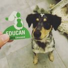 EDUCAN: Entrenar perros, es otra cosa