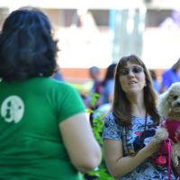 EDUCAN: Entrenar perros, es otra cosa
