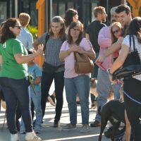 EDUCAN: Entrenar perros, es otra cosa