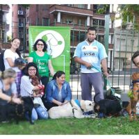 EDUCAN: Entrenar perros, es otra cosa
