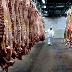 Las carnes bovinas cayeron un 8% en abril