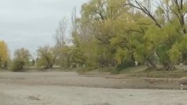 El brazo de la Isla 132 no tiene curso de agua.