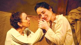 Errante en la sombra