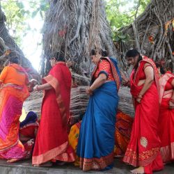 Mujeres adoran un árbol de banyan con motivo del festival Vat Savitri Puja, en Bhopal, India. Las mujeres casadas indias oran por las largas vidas de sus esposos al tener un ayuno de un día de duración y adorar al árbol de Banyan. | Foto:Xinhua/Str