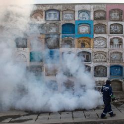 Un especialista fumiga el cementerio de Nueva Esperanza contra los mosquitos Aedes que transmiten el dengue, así como el chikungunya y el zika, en las afueras de Lima, Perú. | Foto:ERNESTO BENAVIDES / AFP