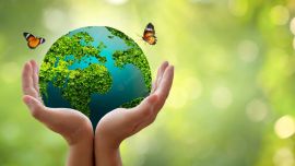 La fecha fue sancionada oficialmente el 15 de diciembre de 1977